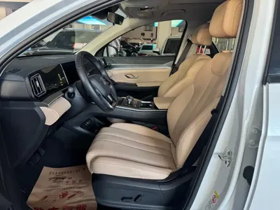 BYD Pro New Energy