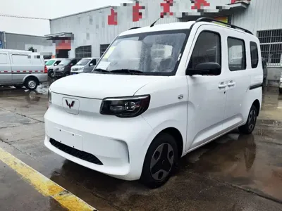 Wuling Zhiguang EV