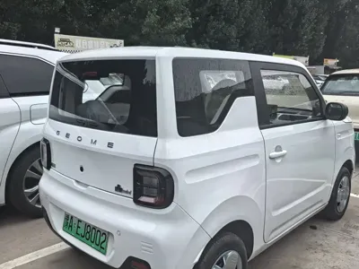 Galaxy Panda