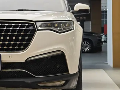 Zotye Zotye T700