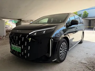 BYD M9