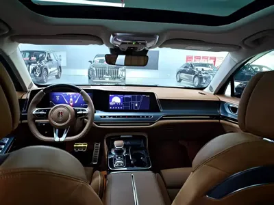 Hongqi Hongqi H9