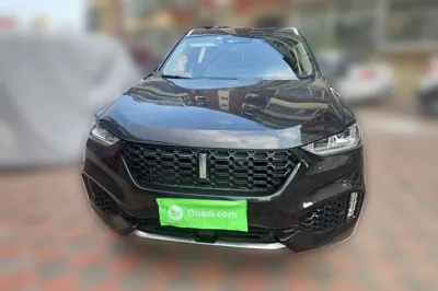 WEY VV6