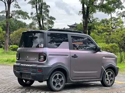 Galaxy Panda