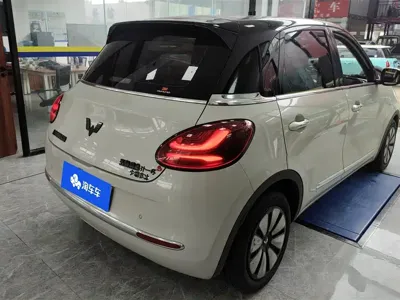 Wuling Bingo