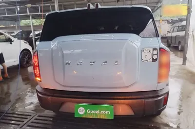 Haval X DOG