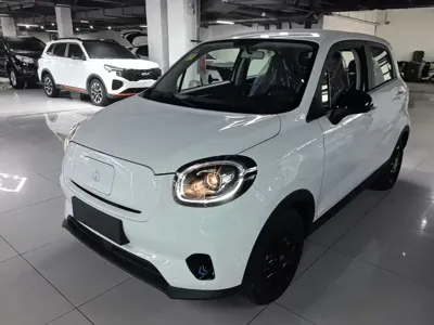 Leapmotor Leapmotor T03