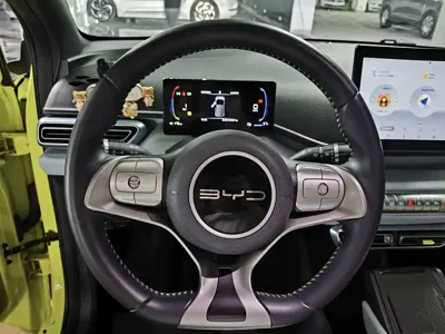 BYD Seagull