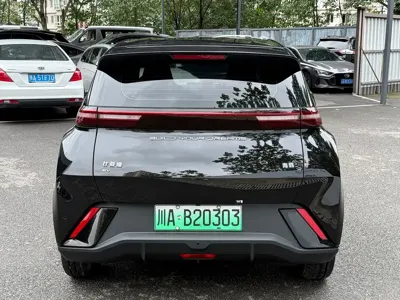BYD Seagull