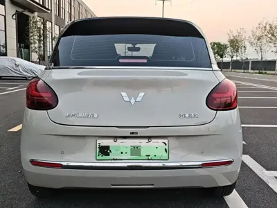 Wuling Bingo