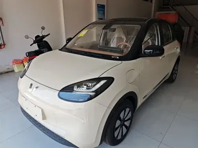 Wuling Bingo