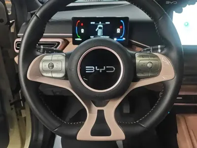 BYD Seagull