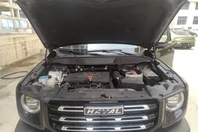 Haval Dargo