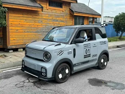 Galaxy Panda