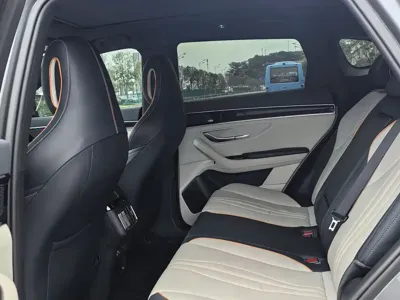 BYD PLUS New Energy