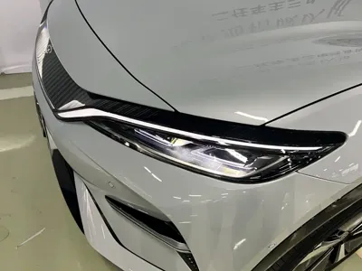 BYD L EV