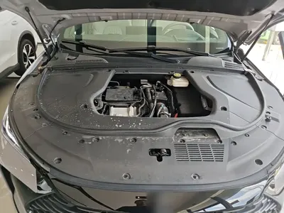 BYD Tang New Energy