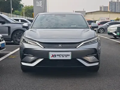 BYD L EV
