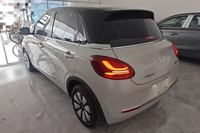 Wuling Bingo