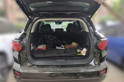 Haval H Dog
