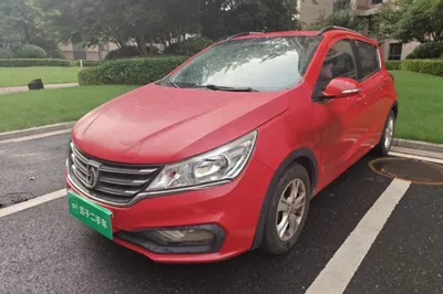 Baojun 310