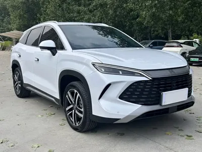 BYD L DM-i
