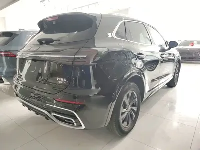 Hongqi Hongqi HS5