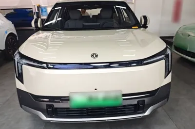 Dongfeng NAMMI 06