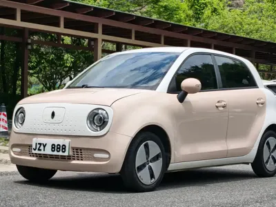 ORA Ora Black Cat