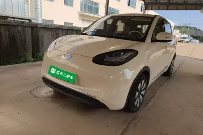 Wuling Bingo