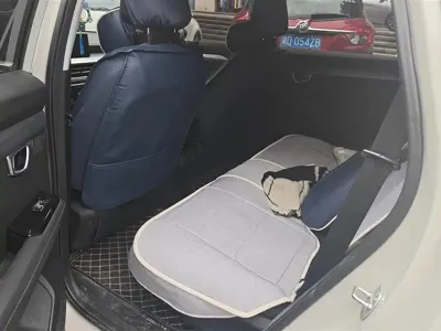 Wuling Xingchen