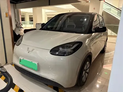 Wuling Bingo