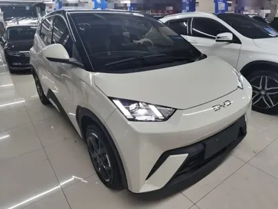 BYD Seagull