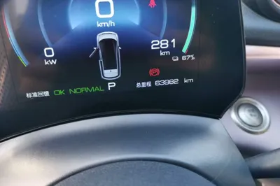 BYD Dolphin