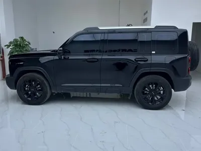 Haval Menglong New Energy