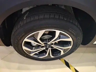 Haval Shenshou