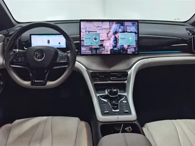 BYD Pro New Energy