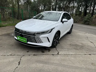BYD Destroyer 05