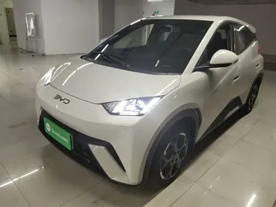 BYD Seagull