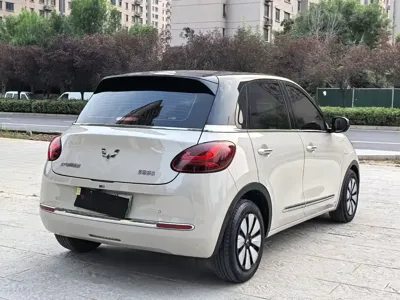 Wuling Bingo