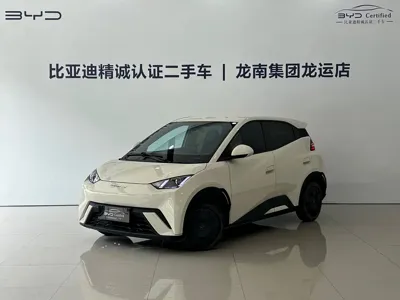 BYD Seagull
