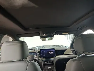 BYD L DM-i