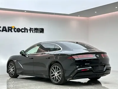 Denza Denza Z9