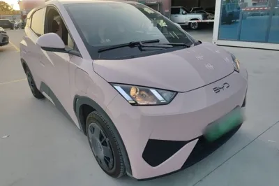 BYD Seagull