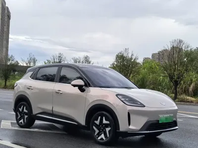 Wuling 缤果S