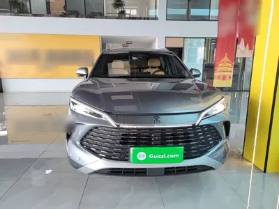 BYD L DM-i