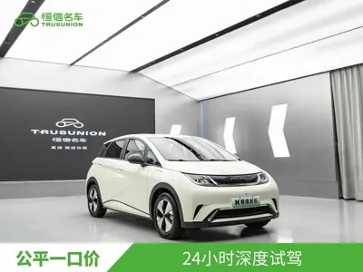 BYD Dolphin