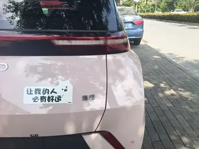 BYD Seagull