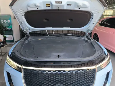 Li Auto ONE