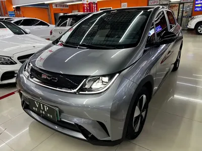 BYD Dolphin